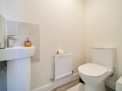 Picture 7